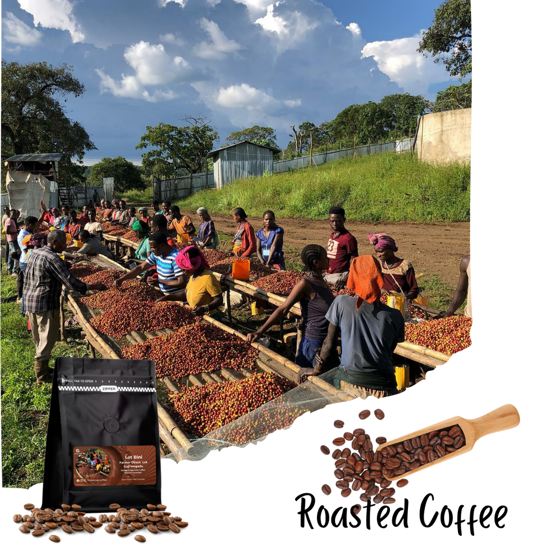 Ethiopian Sidama Bona Zuria - Anaerobic (Natural Medium Roast)