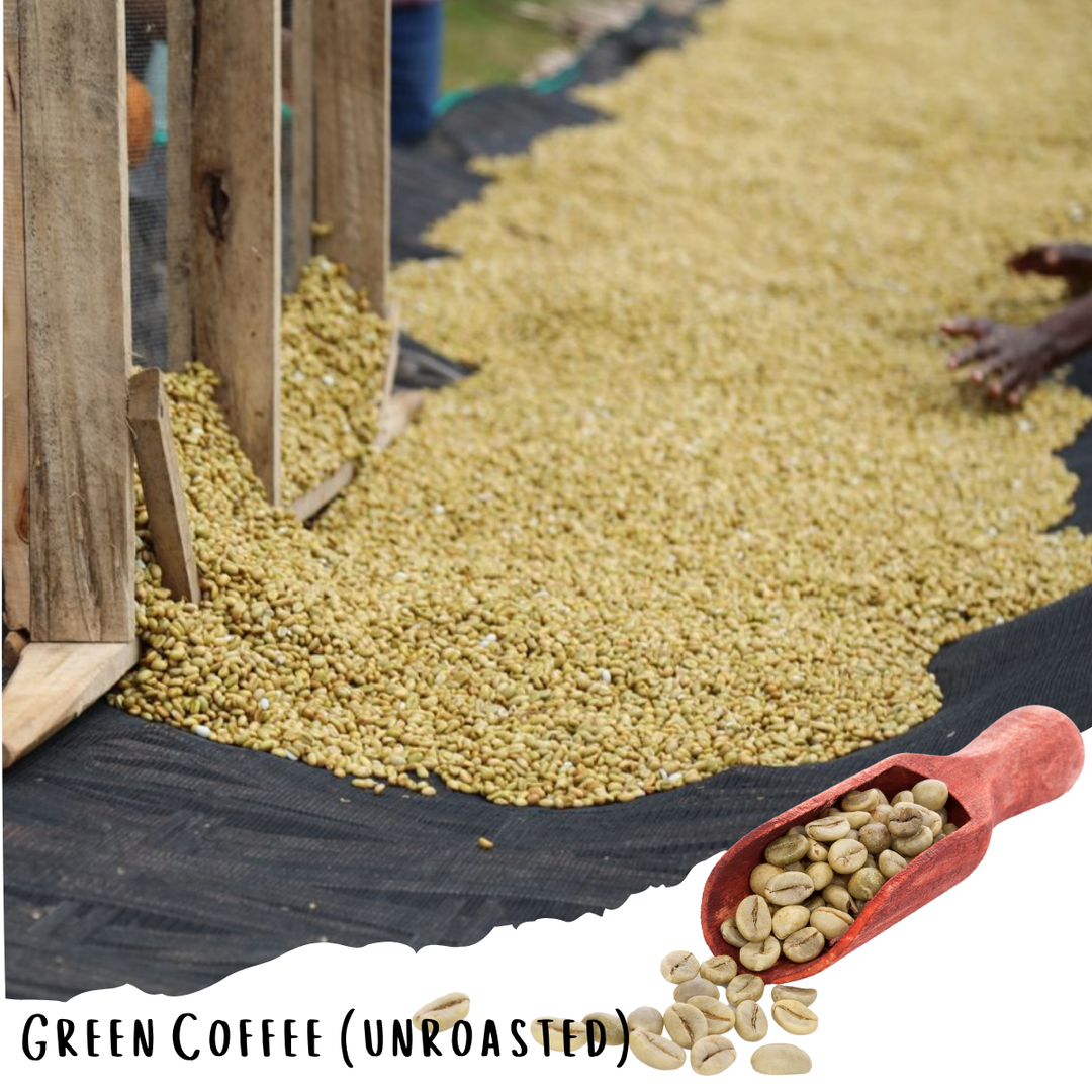 Ethiopian Guji Shakiso - Washed Specialty Coffee (Unroasted 5lbs, 10lbs & 20lbs)