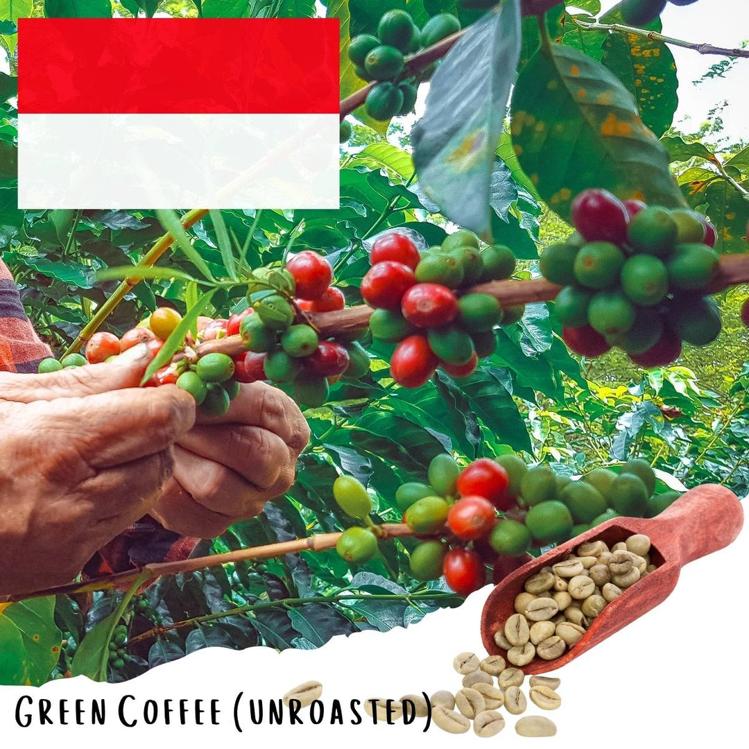 Java Preanger Peaberry Cafe Class (5-lbs Green Coffee)