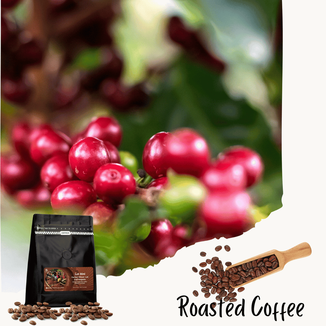 Ethiopian Sidama Chire Community Farm (Washed Medium Roast)