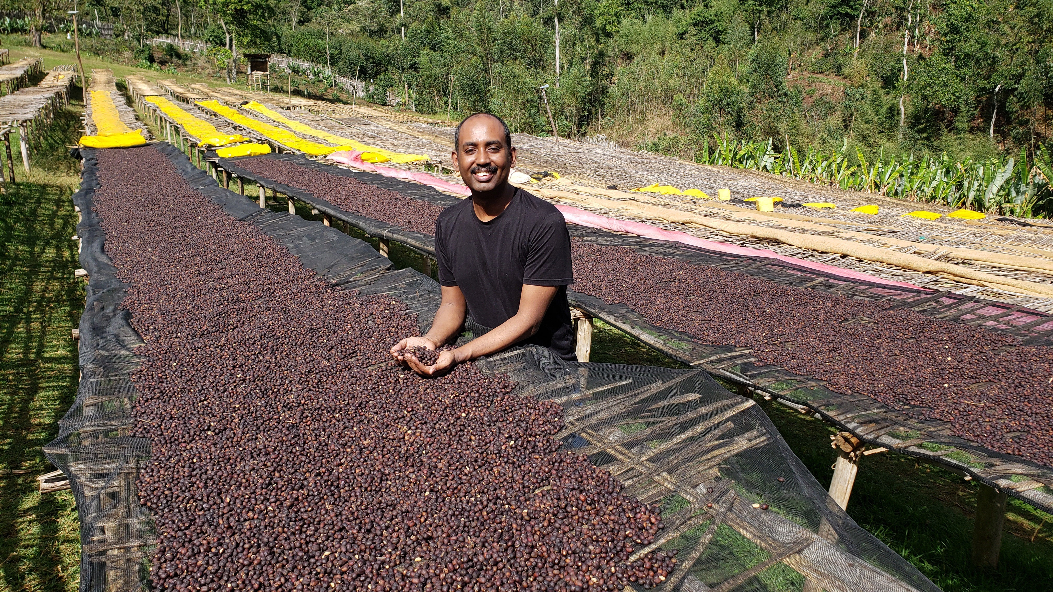 Ethiopian Specialty Coffee