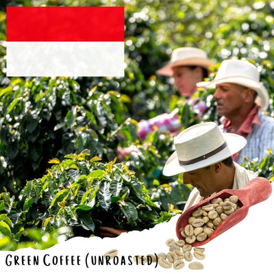 Java Preanger Mt. Patuha Exotic Washed (5-lbs Green Coffee)