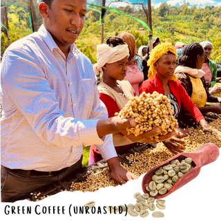 Tsegab Ayele Tulu - Farmer Direct Lot - Sidama Bona Zuria - Honey G1 Ethiopian Specialty Coffee (Unroasted)
