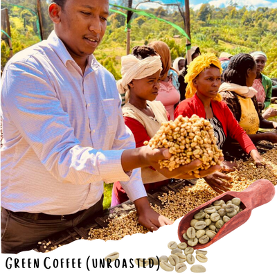 Ethiopian Sidama Bona Zuria Honey - Tsegab Ayele Tulu - Farmer Direct Lot - Ethiopian Specialty Coffee (Unroasted)