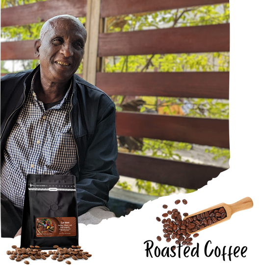 Ethiopian Sidama Demeka Becha - Ayele Tulu Farm (Washed Medium Roast)
