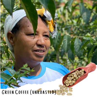 Meselech Tubie - Farmer Direct Lot - Sidama Shentawene - Washed G1 Ethiopian Specialty Coffee (Unroasted)