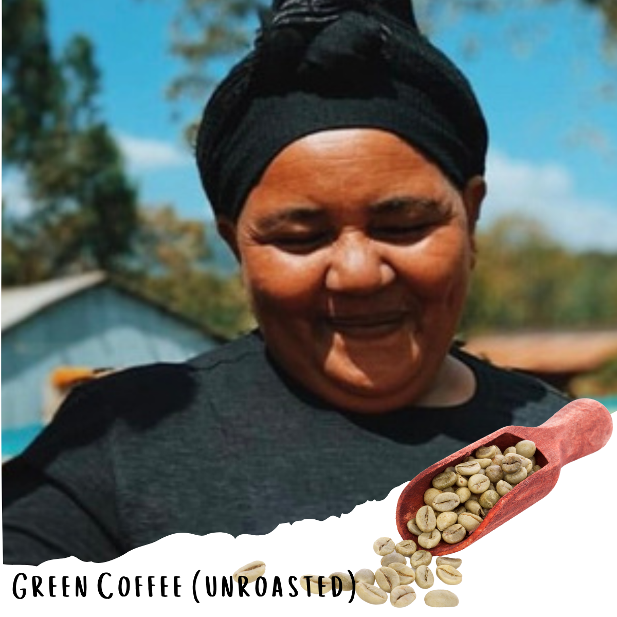 Buze Besha - Farmer Direct Lot - Sidama Bensa Dembi - Washed G1 Ethiopian Specialty Coffee (Unroasted)