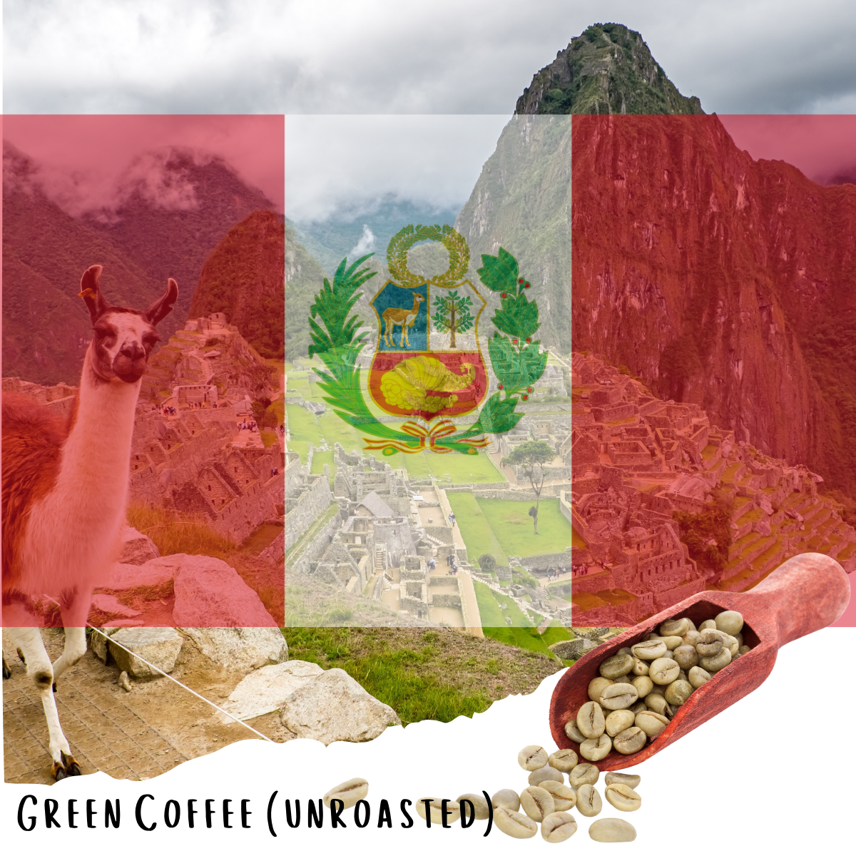 Peru Norandino Cooperative - Washed Peruvian Specialty Coffee - (Unroasted)