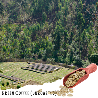 Ethiopian Jimma - Natural Specialty Coffee - 20lbs (Unroasted 5lbs, 10lbs, 20lbs)