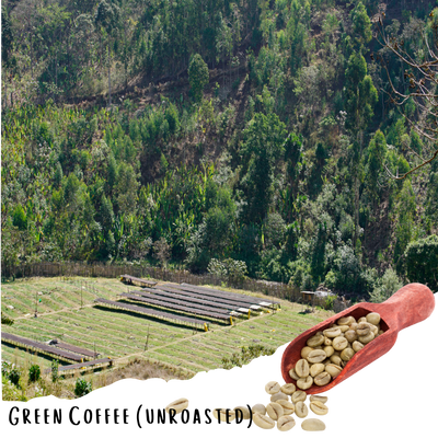 Ethiopian Jimma - Natural Specialty Coffee - 20lbs  (Unroasted)