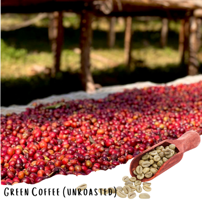 Ethiopian Guji Uraga G1- Natural Specialty Coffee - 20lbs (Unroasted)