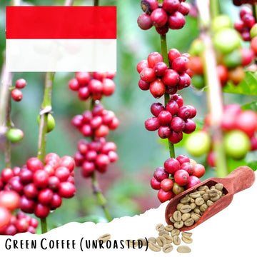 Java Preanger Robusta Cafe Class - (Unroasted 5lbs)