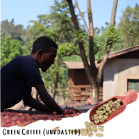 Tsegab Ayele Tulu - Farmer Direct Lot - Sidama Bona Zuria - Anaerobic G1 Ethiopian Specialty Coffee (Unroasted)