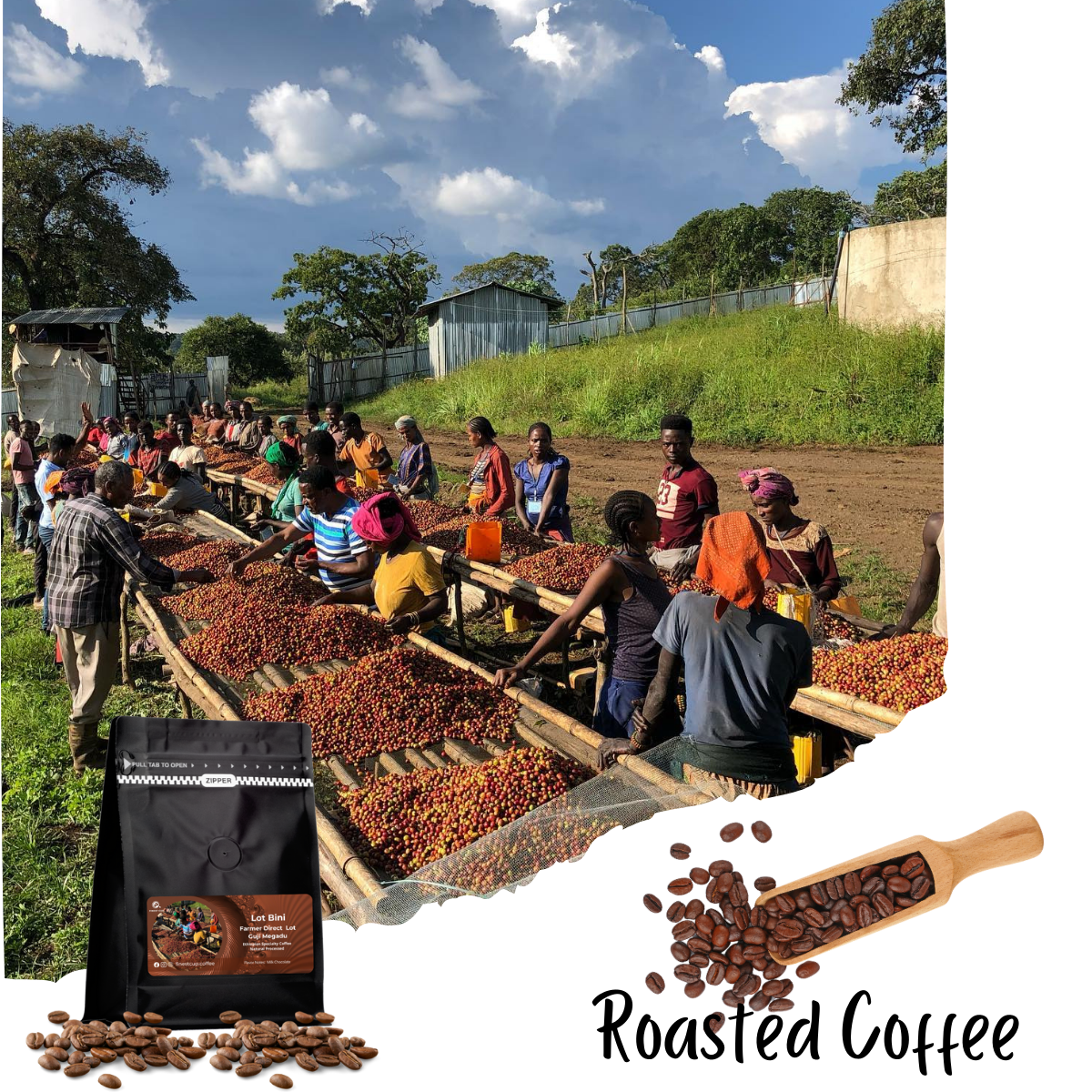 Lot Dumerso - Medium Roast Farmer Direct Lot - Yirgacheffe Dumerso - Natural G1 Ethiopian Specialty Coffee