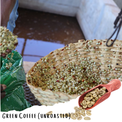 Ethiopian Limu Gera - Washed Specialty Coffee - (Unroasted 5lbs, 10lbs & 20lbs)