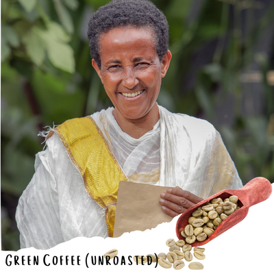 Lot Mentewab - Farmer Direct Lot - Yirgacheffe Cheffe City - Washed G1 Ethiopian Specialty Coffee (Unroasted)