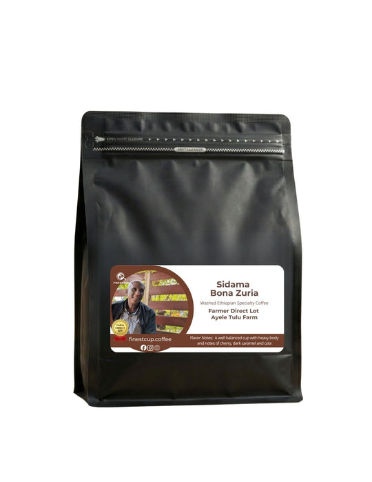 Ethiopian Sidama Demeka Becha - Ayele Tulu Farm (Washed Medium Roast)