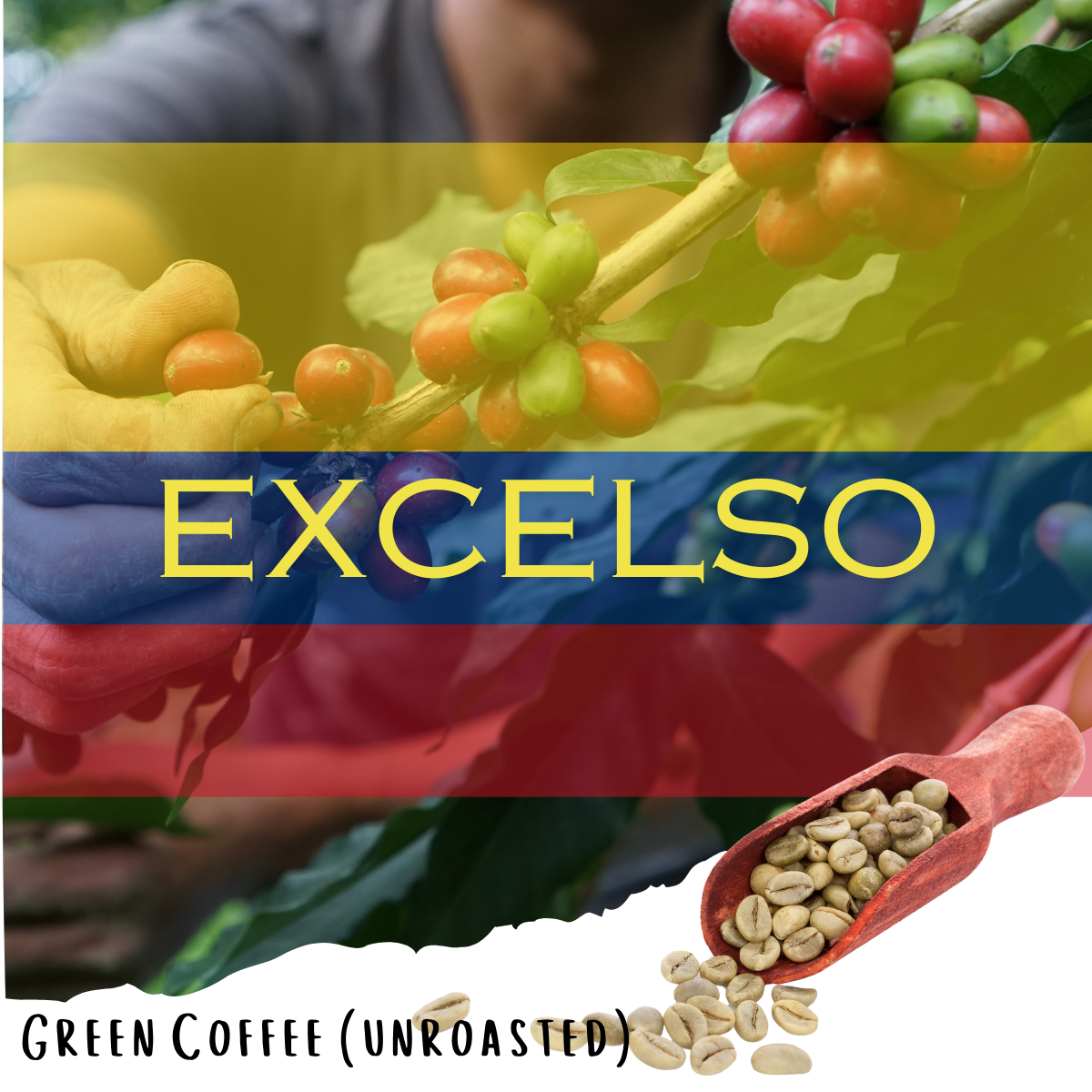 Colombia Excelso - Washed Colombian Specialty Coffee - (Unroasted)