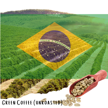 Brazil Yellow Catuaí Natural — Unroasted Specialty Coffee - Unroasted 5lbs
