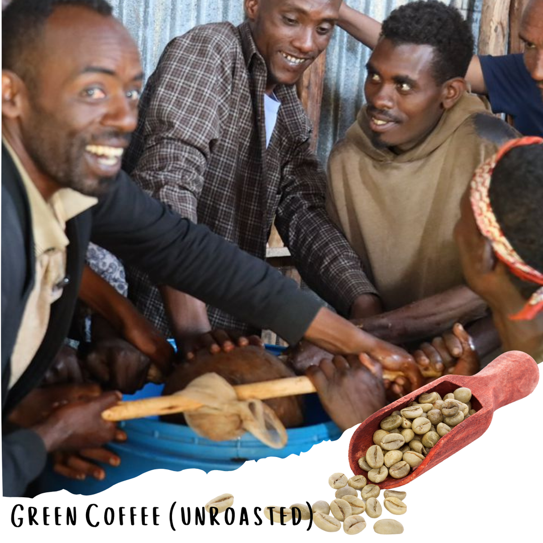 Tsegab Ayele Tulu - Farmer Direct Lot - Sidama Bona Zuria - Anaerobic G1 Ethiopian Specialty Coffee (Unroasted)