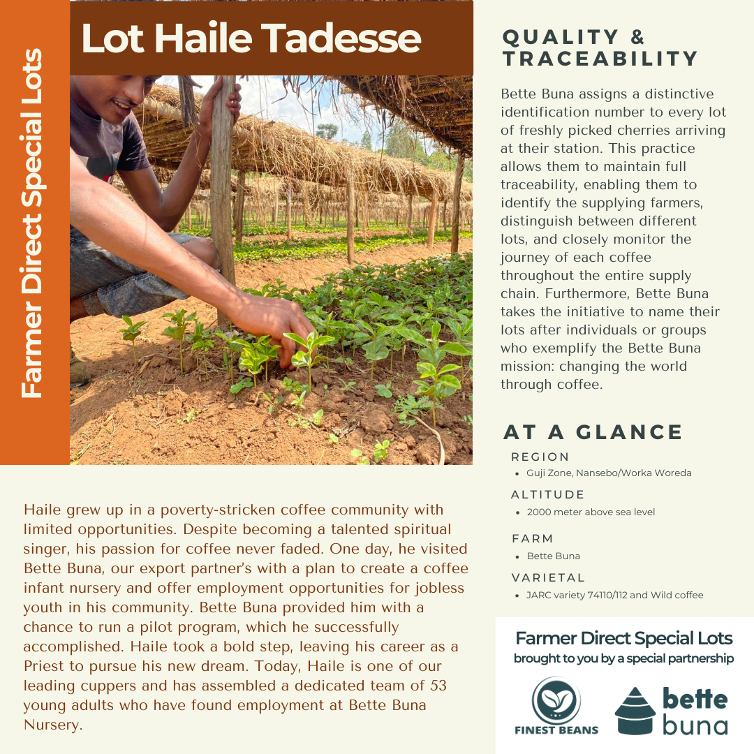 Lot Haile Tadesse - Farmer Direct Lot - Sidama Nansebo - Natural G1 Ethiopian Specialty Coffee (Unroasted)