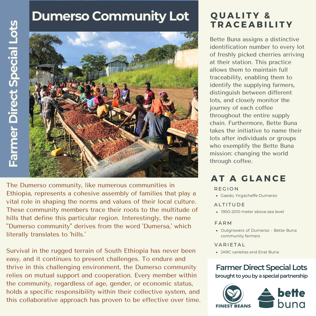 Lot Dumerso Community - Farmer Direct Lot - Yirgacheffe Dumerso - Natural G1 Ethiopian Specialty Coffee (Unroasted)