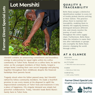 Lot Mershiti - Farmer Direct Lot - Sidama Taferi Kela - Washed G1 Ethiopian Specialty Coffee (Unroasted)