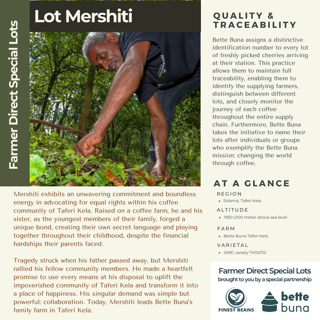 Ethiopian Lot Mershiti - Farmer Direct Lot - Sidama Taferi Kela - Washed G2+ - 20lbs (Unroasted)
