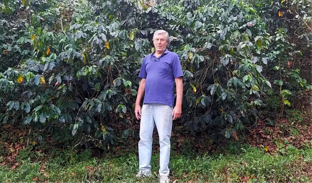 Peru Geisha - Washed Peruvian Specialty Coffee - (Unroasted)