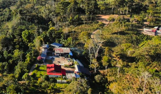 Peru Caturra Honey Anaerobic 72hr  - Washed Peruvian Specialty Coffee - (Unroasted)